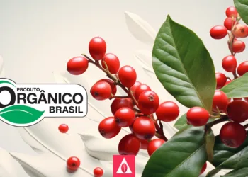 Entendendo a Certificação de Cafés Orgânicos: Um Guia Completo