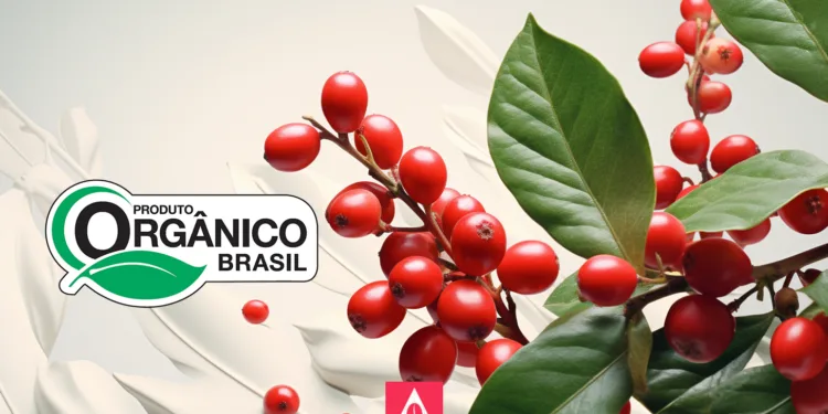 Entendendo a Certificação de Cafés Orgânicos: Um Guia Completo